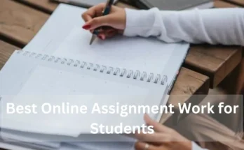 online assignment work