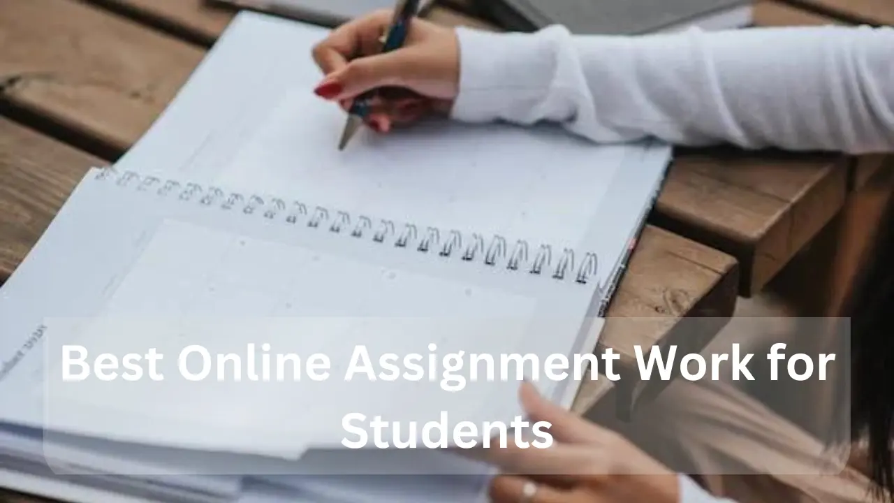 online assignment work website